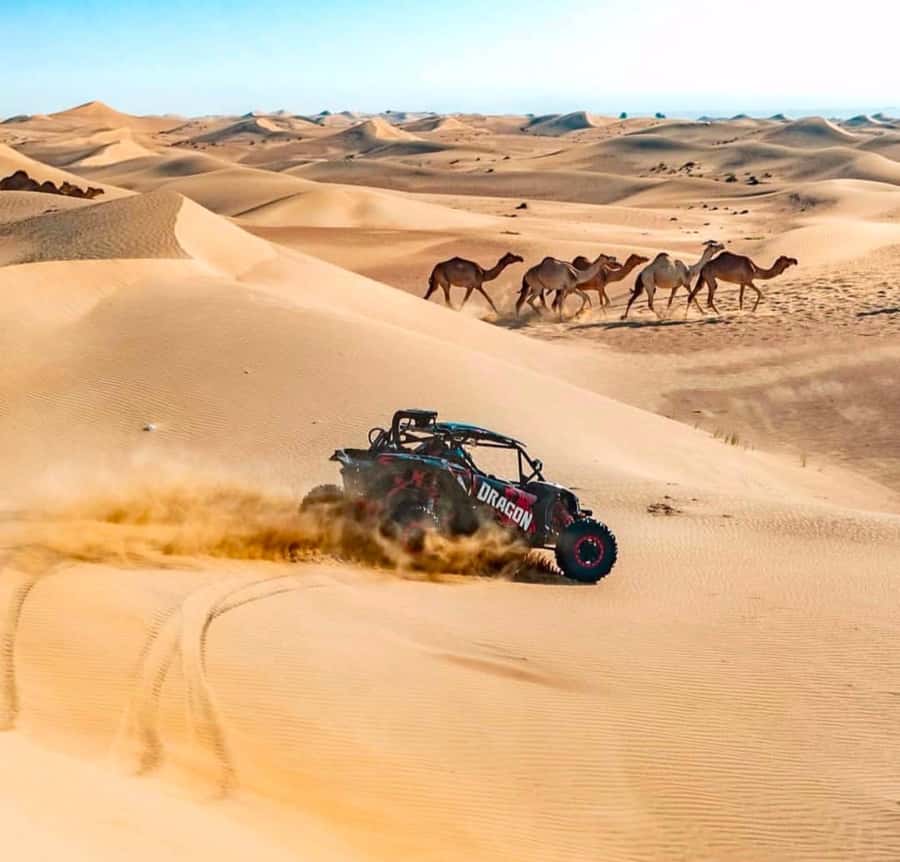 Doha: Inland Sea, Desert Safari, Camel Ride and Sandboarding - How the guides shape the day