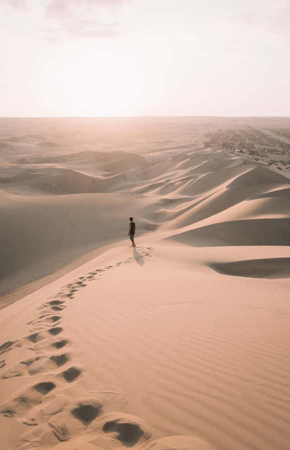 Doha : Inland Sea Desert Safari ,Camel Ride & Sandboarding - Is $15 good value for Qatar?