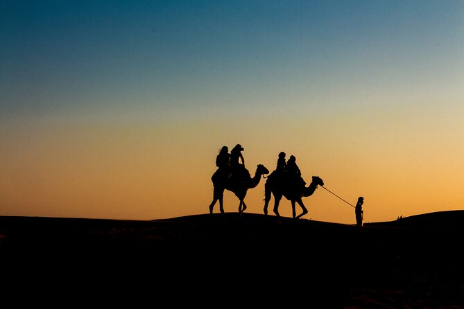 Doha Night Desert Safari Adventure - Why this Doha desert safari is worth considering