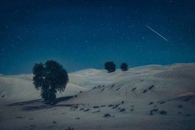 Doha Night Desert Safari Adventure - What happens during the Sealine camel and falcon stop