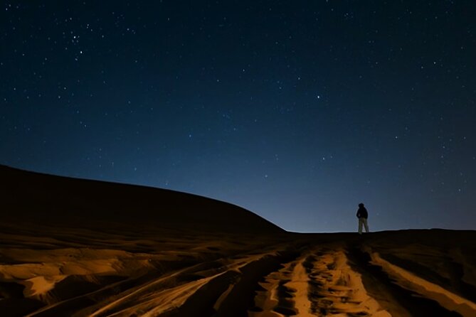 Doha Night Desert Safari Camel Ride Dune Bashing with Transfer - Night dune bashing with a skilled 4x4 driver