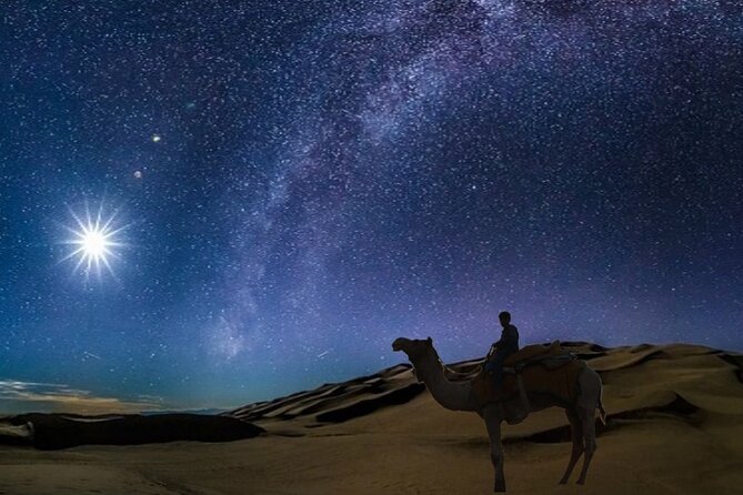Doha Night Desert Safari Camel Ride Dune Bashing with Transfer - Sealine Beach and the five-minute camel ride