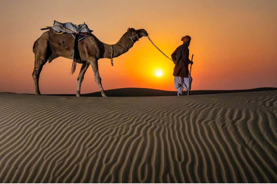 Doha Night Desert Safari Stargazing And Camel Ride - Dune bashing at RCMP+67 Ash Shaqra
