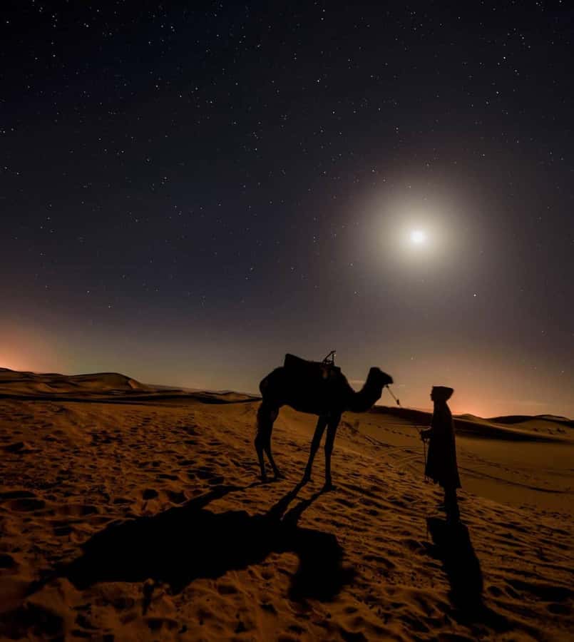 Doha Night Desert Safari Stargazing And Camel Ride - How the guides affect the evening