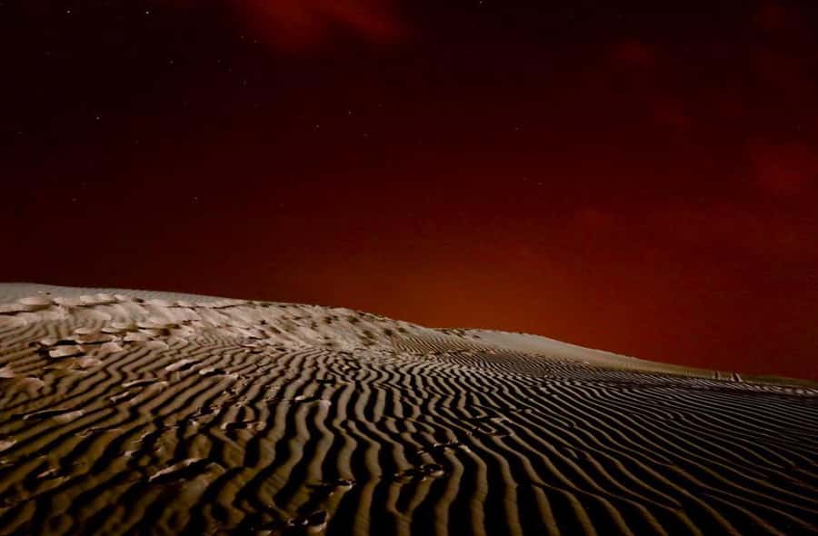 Doha Night Desert Safari Stargazing And Camel Ride - The 4x4 ride and the first look at Qatar’s desert