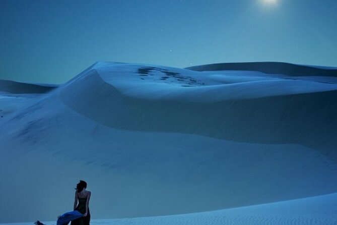 Doha Night Desert Safari Stargazing Dune Drive Camel Ride - Dune bashing: the heart of the outing