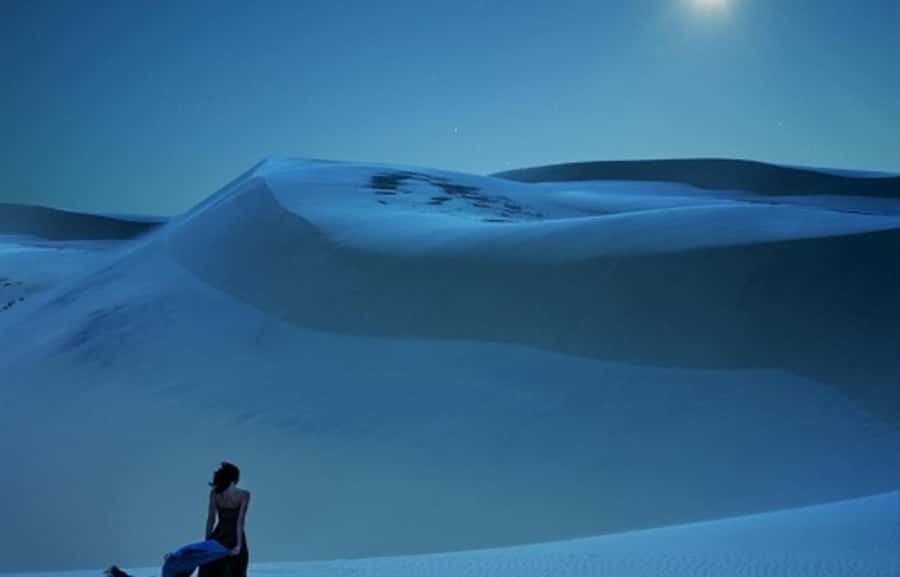 Doha: Night Desert Safari, Stargazing, Dune Driving &Inland - Stargazing Depends on the Sky