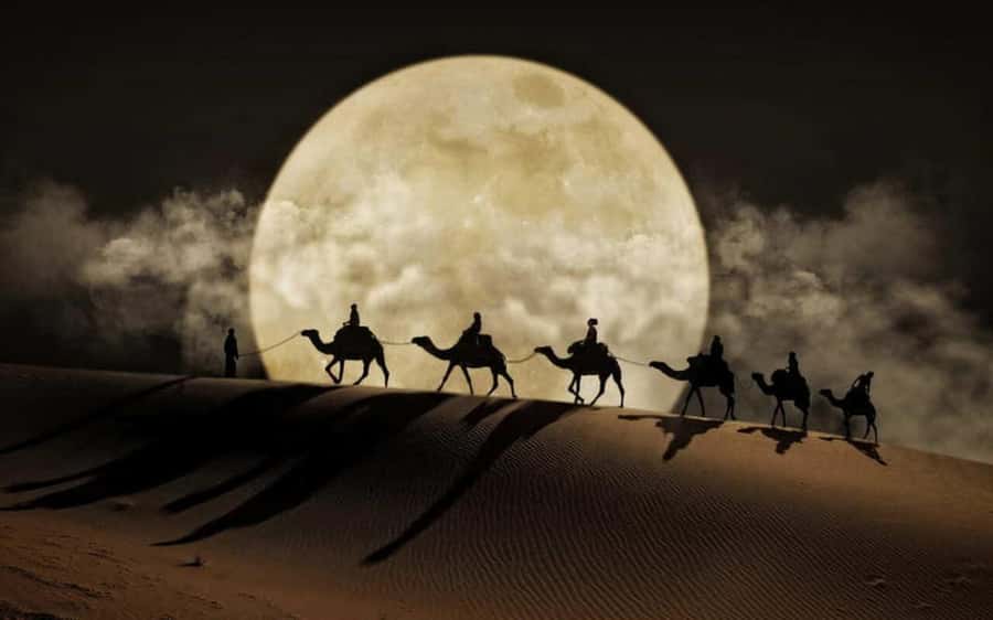 Doha: Night Desert Safari, Stargazing, Dune Driving &Inland - Tea, Camels, and a Short Stop at Mesaieed