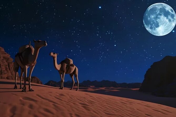 Doha Night Desert Safari, Stargazing, Photography، Relaxation - Sandboarding for a quick burst of fun