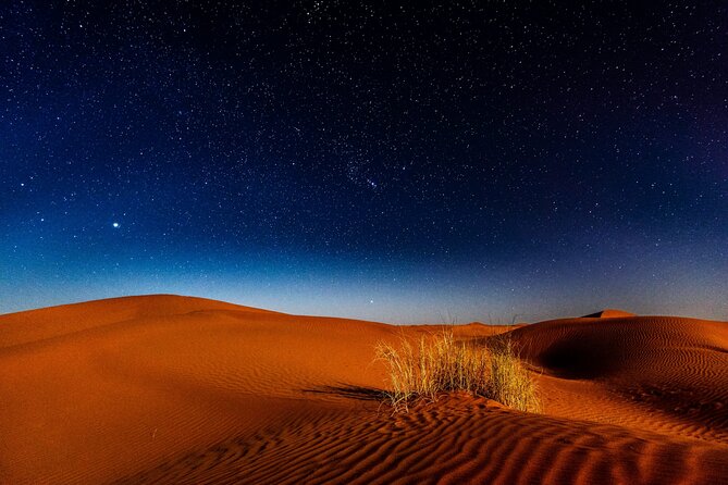 Doha Night Desert Safari, Stargazing, Photography، Relaxation - Camel riding and a slower view of the desert