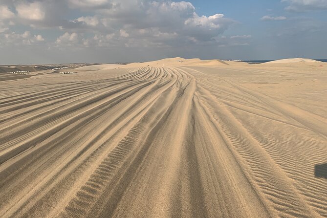 Doha : Night Desert Safari | Transit Safari | Camel ride | Dune Bashing - Final Verdict: Book It for a Short, Action-Focused Desert Escape