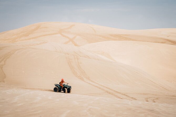 Doha-Night Desert Safari with Sand Board and Camel Ride - Is $80 good value in Doha?