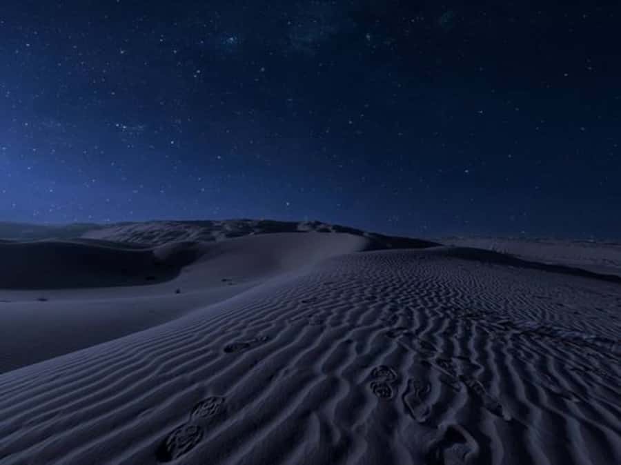 Doha: Night Desert Safari with Stargazing & Camel Ride - Nighttime dune bashing across the southern desert
