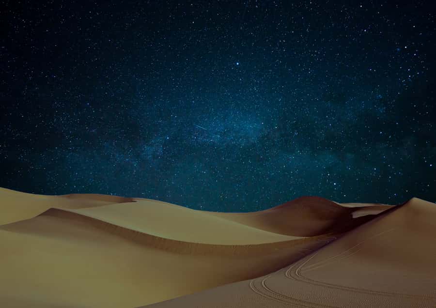 Doha: Night Desert Safari with Stargazing & Camel Ride - What the four-hour schedule really means
