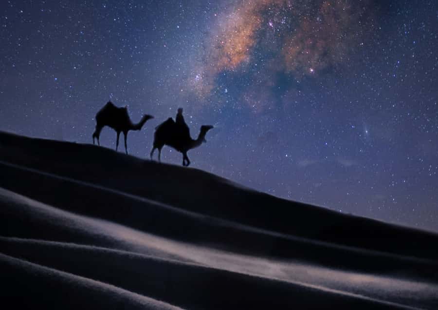 Doha: Night Desert Safari with Stargazing & Camel Ride - What to wear and bring for a night in the sand