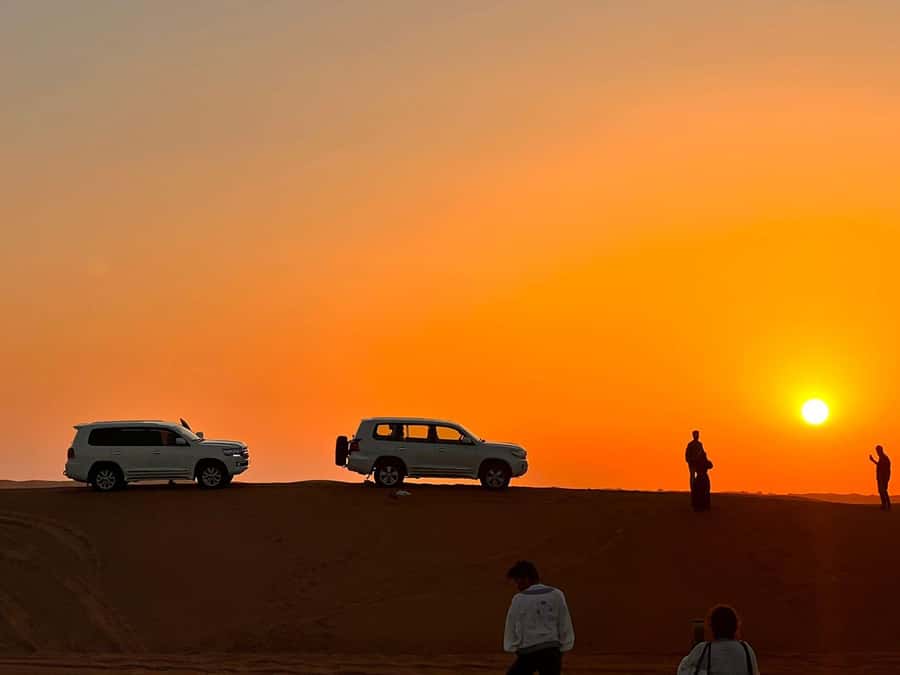 Doha: Nighttime Desert Safari with Dune Bashing & Camel Ride - Stargazing, an eco-walk, and the quiet after dark