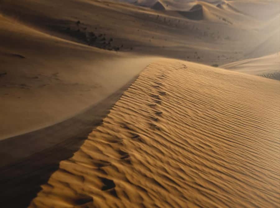 Doha: Nighttime Desert Safari with Dune Bashing & Camel Ride - Is $24 good value?