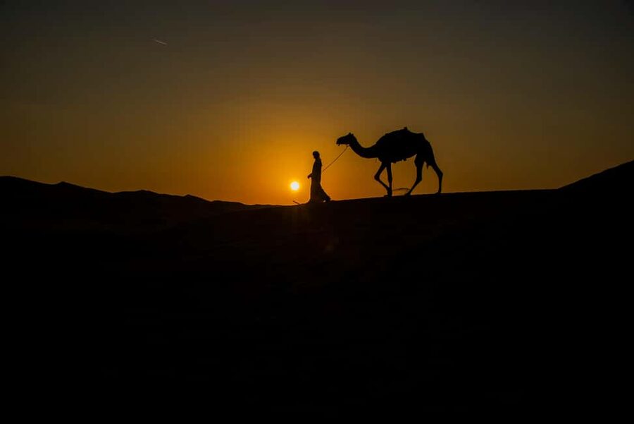 Doha: Overnight Desert Safari with Dinner and Breakfast - Dune bashing is the main burst of adrenaline