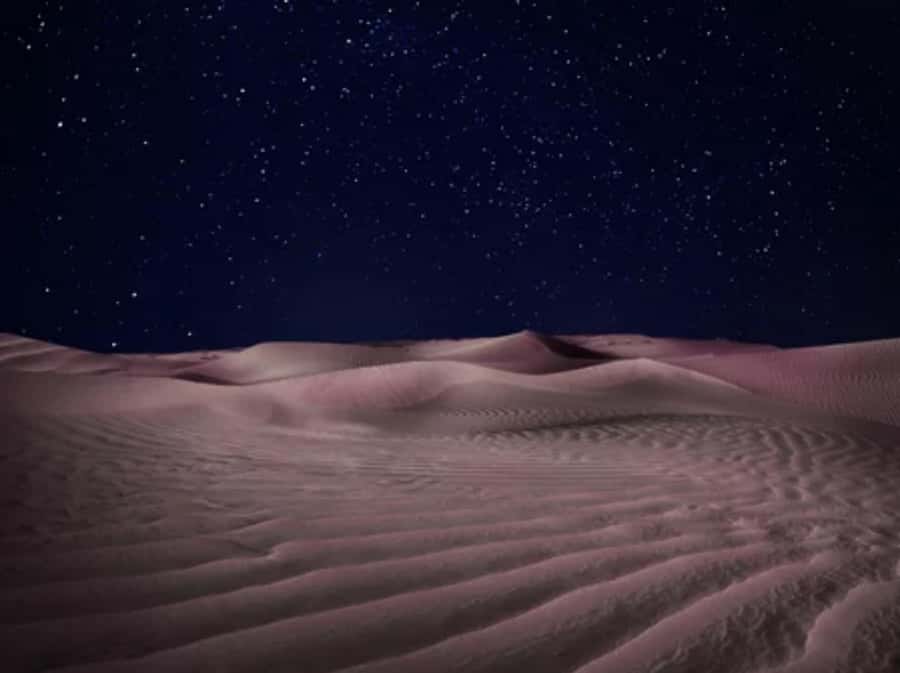 Doha: Private Desert Safari at Night with Stargazing - Guides, driving, and the human side