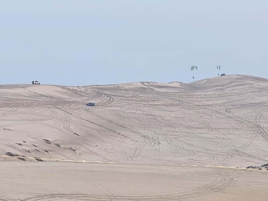 Doha:Private Desert Safari, Falcon, Sandboarding,inland sea - What to bring and what to clarify