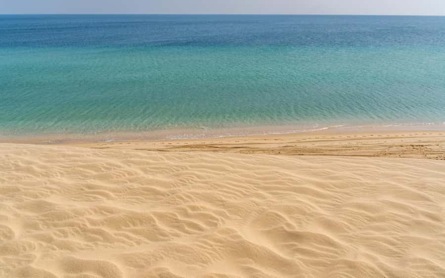 Doha Private Desert Safari, inland sea, sand boarding - Dune bashing and sandboarding near Sealine