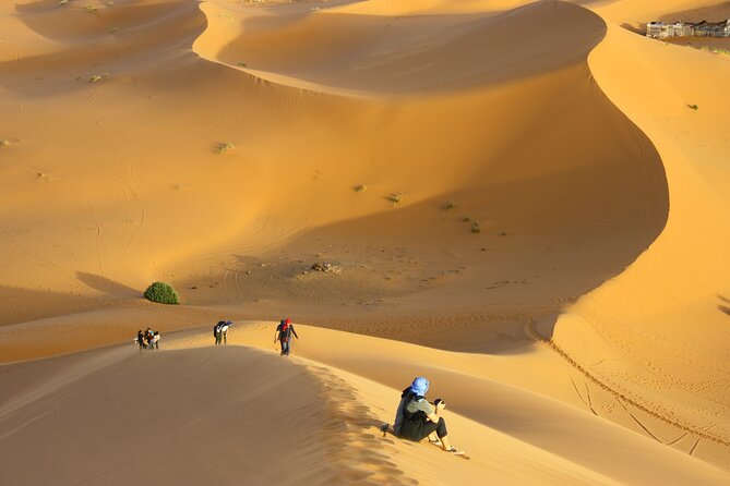 Doha Private Half-Day Guided Desert Safari Tour - Dune driving: the main event