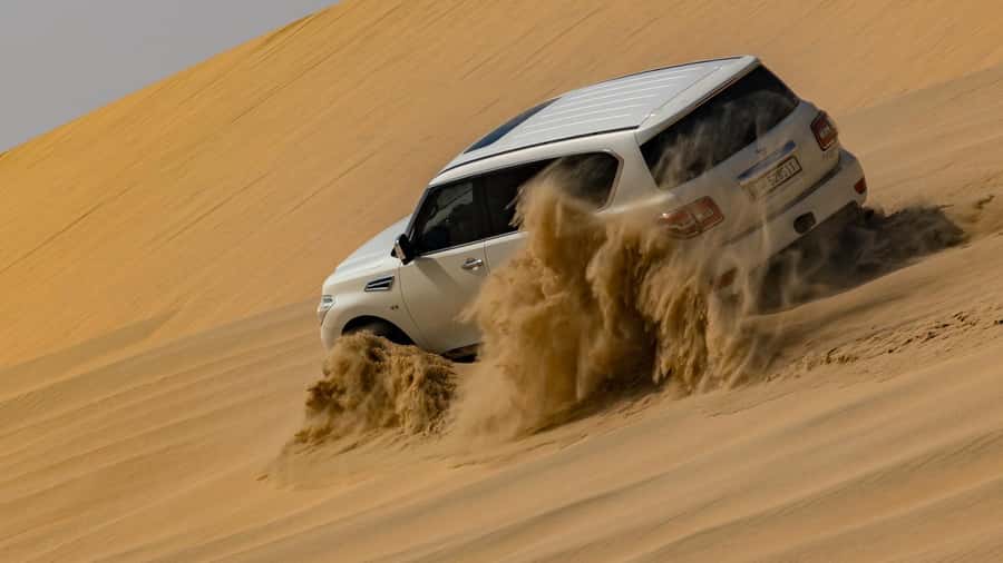 Doha Qatar: Airport Layover or Transfer Desert Safari. - Why this works well during a Doha layover