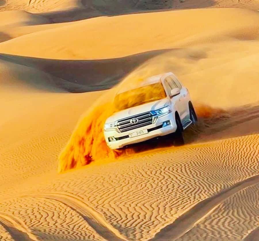 Doha: Relax Desert Safari, Camel Ride, Inland Sea, Swimming - How much value do you get for $24?