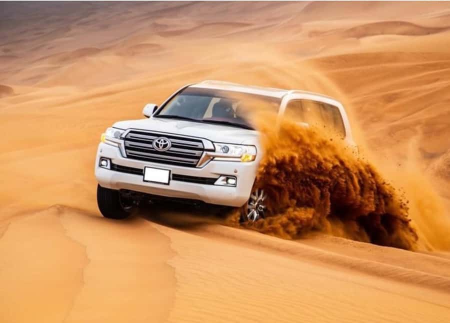 Doha: Relax Desert Safari, Camel Ride, Inland Sea, Swimming - Mesaieed: the first taste of Qatar’s desert