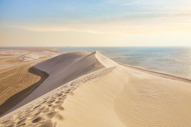 Doha Safari Adventures, Dune Bashing, Sand Buggy, Camel Ride Tour - Dune Bashing Across Qatar’s High Sand Ridges