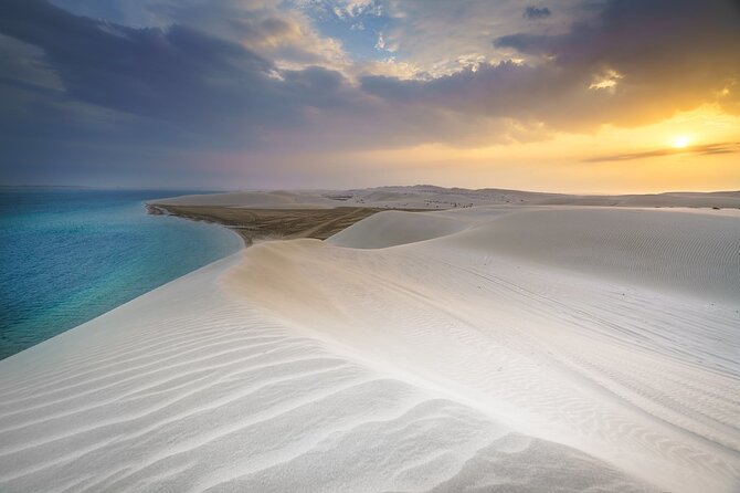 Doha Safari Adventures, Dune Bashing, Sand Buggy, Camel Ride Tour - Three Hours Among Dunes, Sand, and Sea