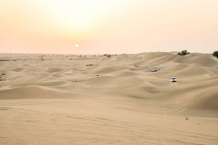 Doha: Safari, ATV, Camels, Sandboarding and Inland Sea Tour - What the $32 price really buys you