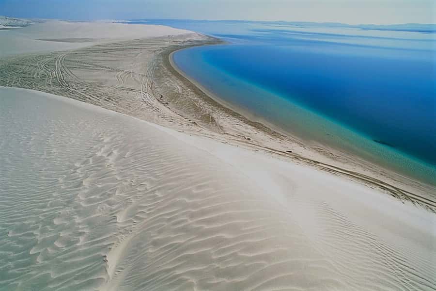 Doha Safari: ATV Ride, Dune Bashing, & Sandboarding Fun - Who should book this safari?