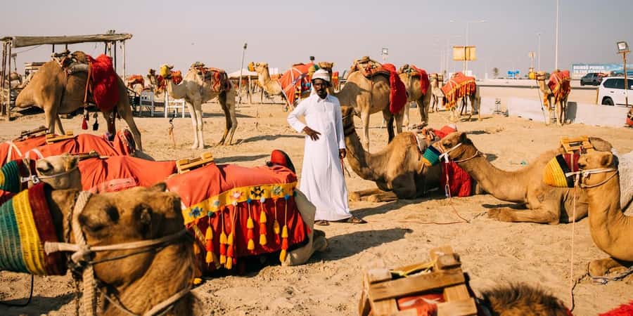 Doha: Safari, Camel Ride, Sandboarding and Inland Sea Tour - A short camel ride with a slower rhythm