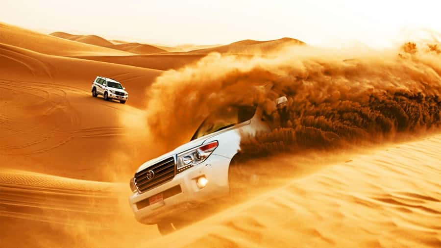Doha: Safari, Camel Ride, Sandboarding and Inland Sea Tour - Is $26 good value?