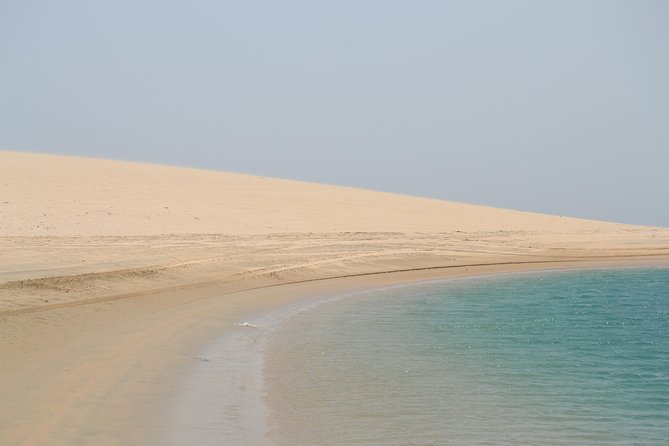 Doha: Safari, Dune bashing, Camel Ride, Sandboarding & Inland Sea - Dune bashing is the main event