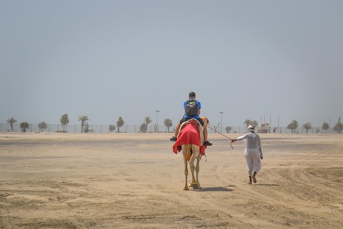 Doha: Safari, Dune bashing, Camel Ride, Sandboarding & Inland Sea - Morning or afternoon: choosing the right departure