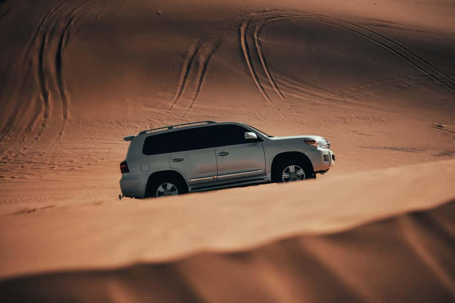 Doha:Safari Tour with Lunch/Dinner in Desert by the Sea Side - Leaving Doha for the dunes