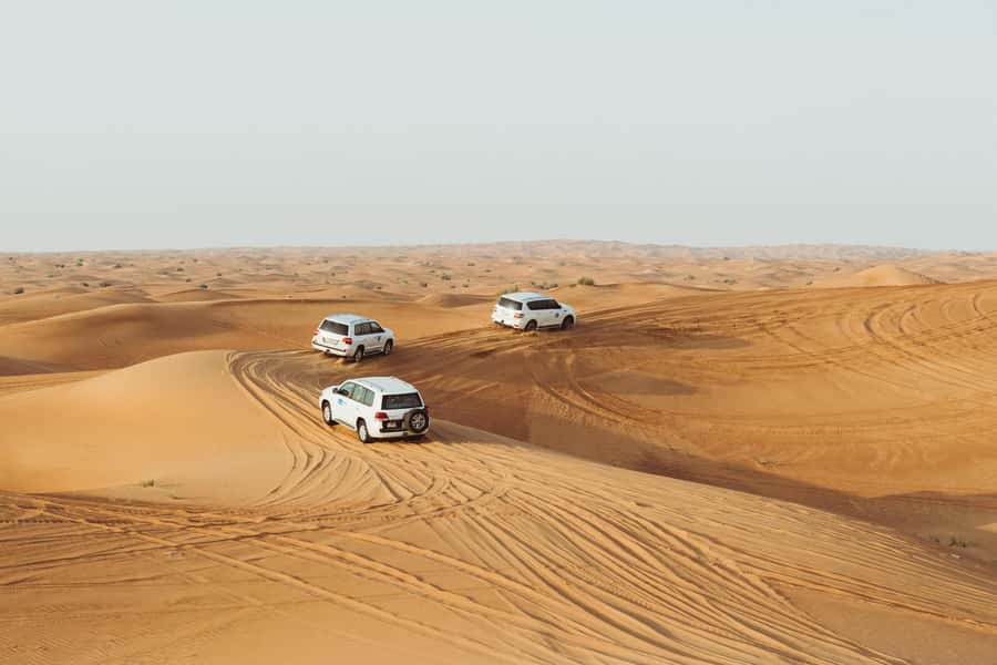 Doha:Safari Tour with Lunch/Dinner in Desert by the Sea Side - Sandboarding without extra equipment fees