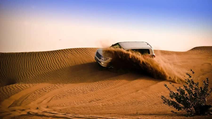 Doha: Shared Desert Safari, Sandboarding, Camel Ride - Key points to know before booking