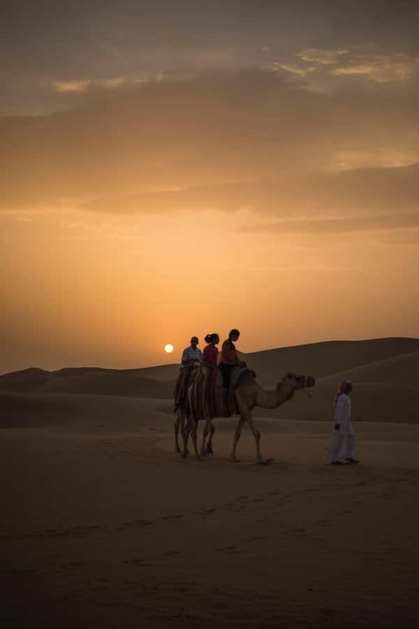 Doha: Shared Desert Safari, Sandboarding, Camel Ride - Who will enjoy this tour most?