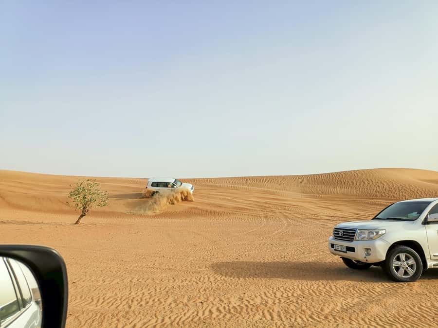 Doha: Shared Desert Safari, Sandboarding, Camel Ride - What the $12 price actually covers