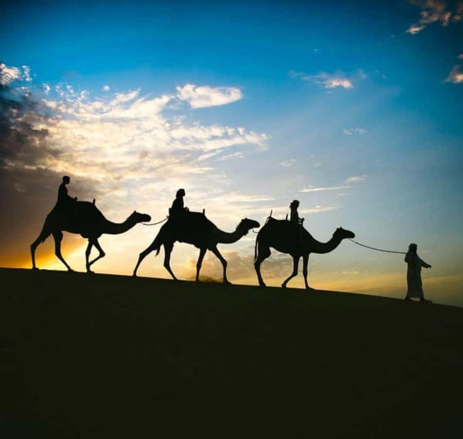 Doha: Stargazing Desert Safari w/ Dune Bashing & Camel Ride - Key things to know before booking