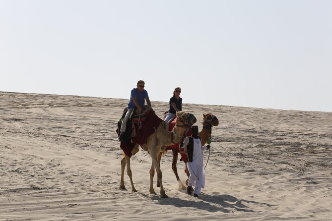 Doha; Sunrise Desert Tour and camel safari 4hrs - Dune driving with safety in mind