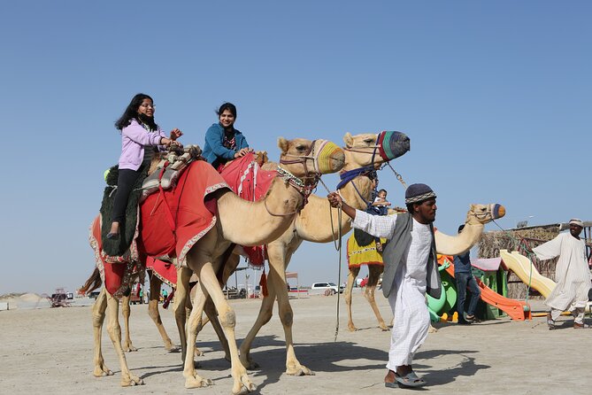 Doha; Sunrise Desert Tour and camel safari 4hrs - Service, guides, and the private format