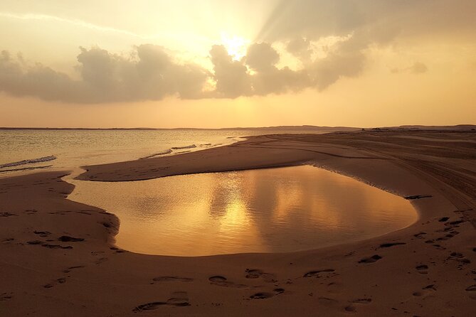 Doha: Sunrise /Sunset Desert Safari with Sand Boarding,Camel ride - Hotel pickup and the road to Sealine Beach