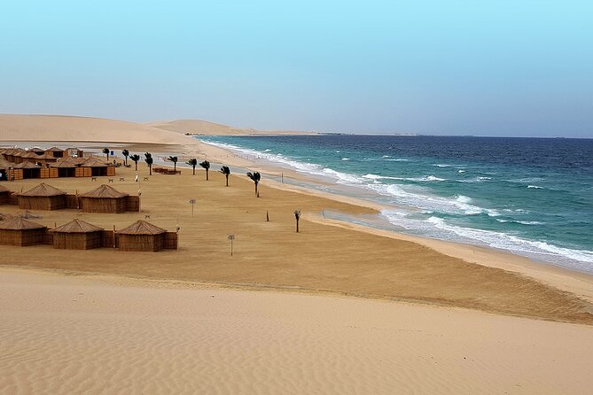 Doha: Sunrise /Sunset Desert Safari with Sand Boarding,Camel ride - Sand boarding and wide-open Gulf views