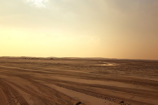 Doha: Sunrise /Sunset Desert Safari with Sand Boarding,Camel ride - Is $49 good value?