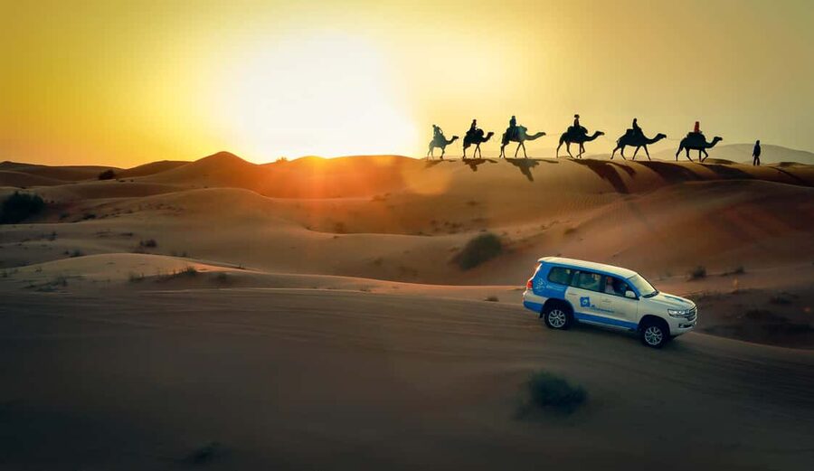 Doha: Sunset Desert Safari, ATV, Camel Ride and Sandboarding - Quick take: what you should know