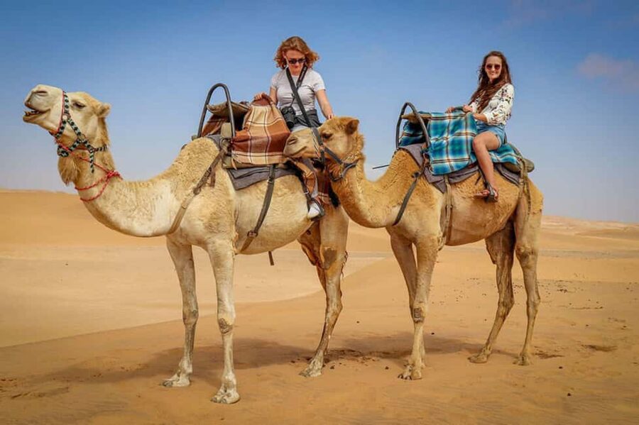 Doha: Sunset Desert Safari, ATV, Camel Ride and Sandboarding - Practical preparation for a better afternoon